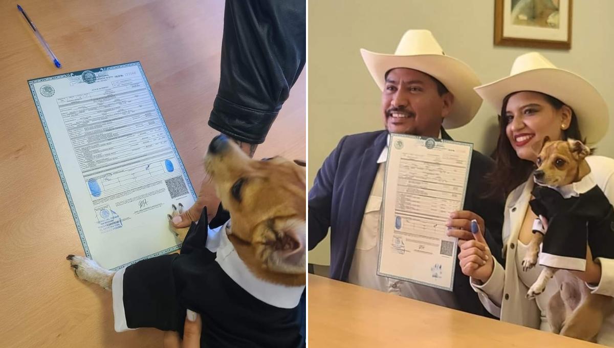 ¡Qué ternura! Perrito fue testigo de la boda de sus dueños y firmó con su patica