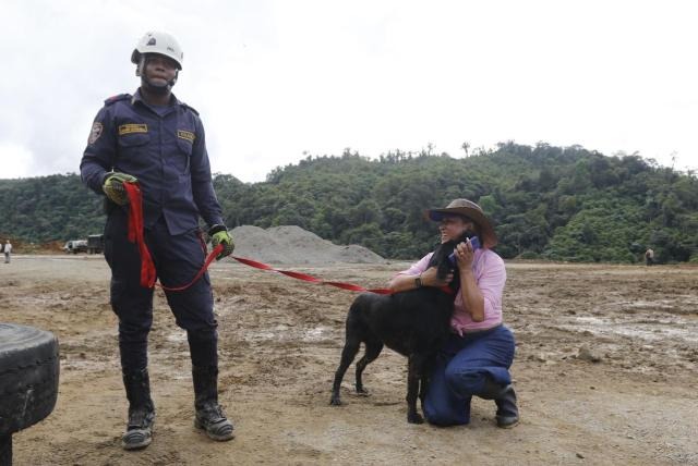 Conozca la historia de Teo, el perrito que sobrevivió dos días sepultado tras derrumbes en Chocó