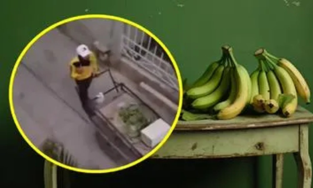 ¡Qué talento! Vendedor de plátanos sacó su voz de cantante y lo piden para ‘Yo me llamo’