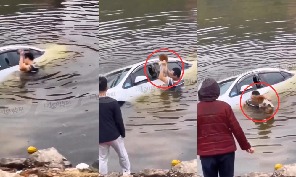 “Un acto de amor”: hombre rescata a perrito que estaba atrapado en un carro sumergido en el agua