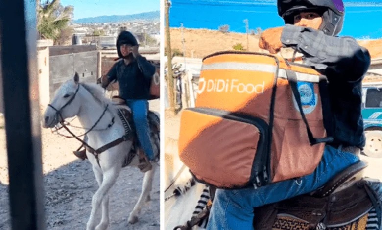 Repartidor de comida se hace viral por utilizar un caballo como medio de transporte: «Todo terreno», dicen en redes