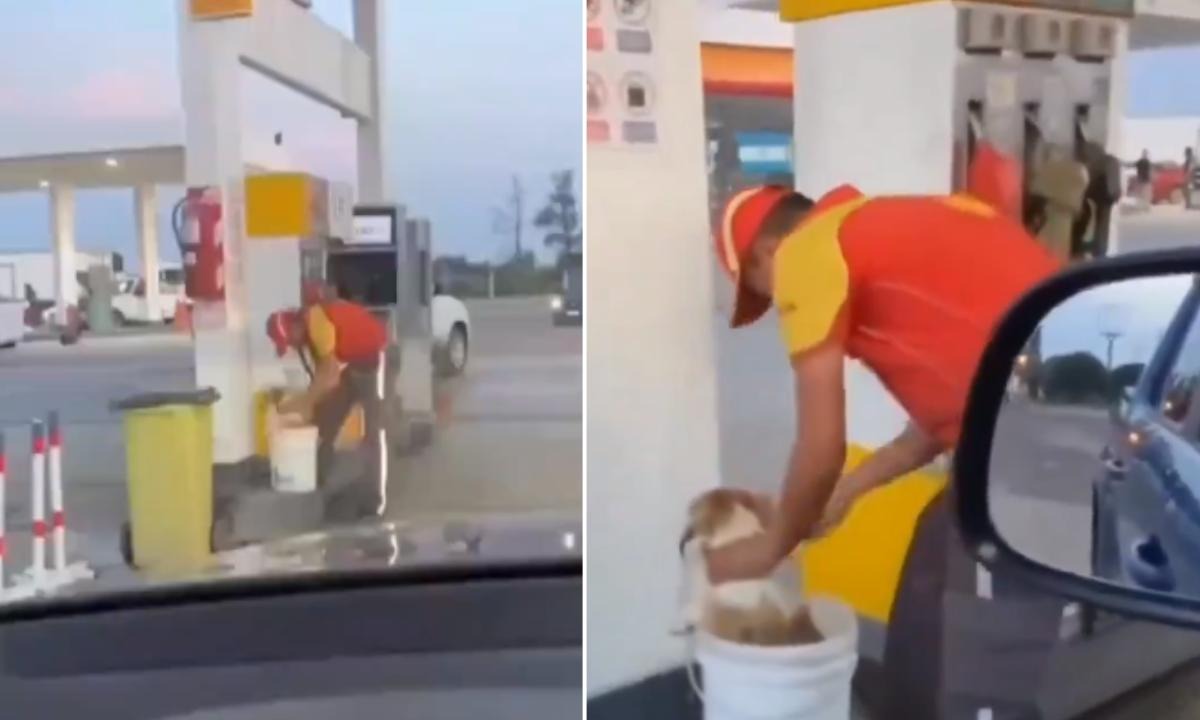 “Se ganó el cielo”: por altas temperaturas, empleado de una estación de servicio bañó a un perrito