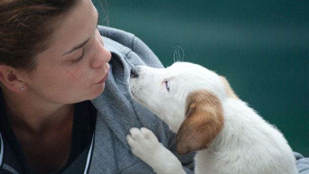 Estudio revela que las personas que conversan y responden por sus perros no están locas