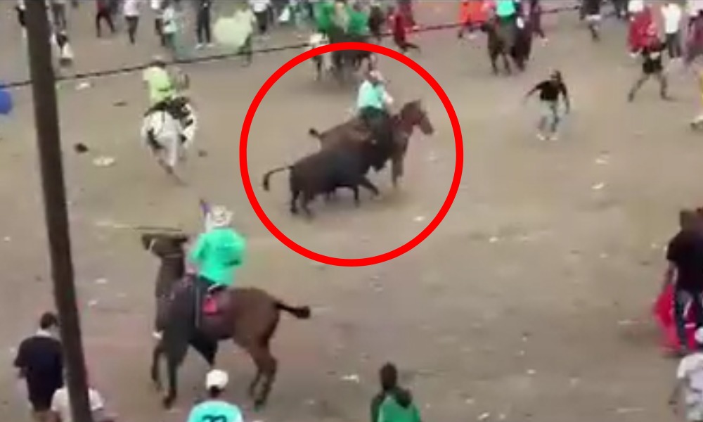 «¡Qué crueldad!»: video de toro corneando un caballo en corralejas de Cereté causa indignación