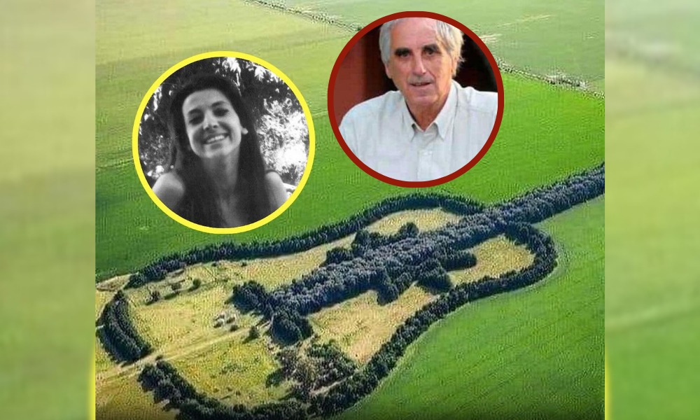 ¡Un grito hasta el cielo! Un agricultor tardó 40 años haciendo un bosque en forma de guitarra en honor a su esposa fallecida