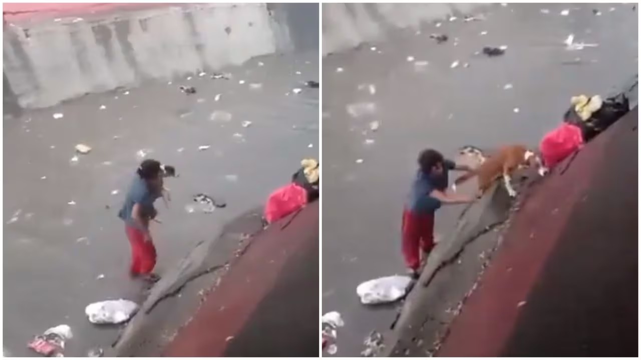 ¡Hermoso gesto! Habitante de calle rescató a perrito que era arrastrado por la lluvia en un canal