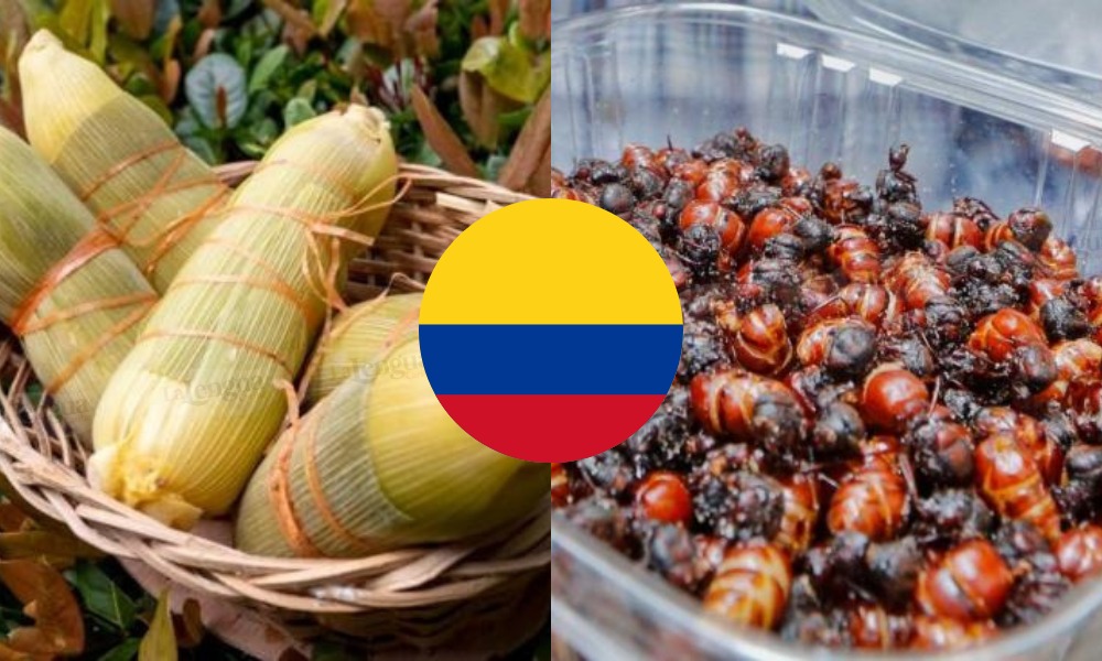 Estas dos comidas colombianas están catalogadas como las ‘peores’ del mundo ¿Está de acuerdo?