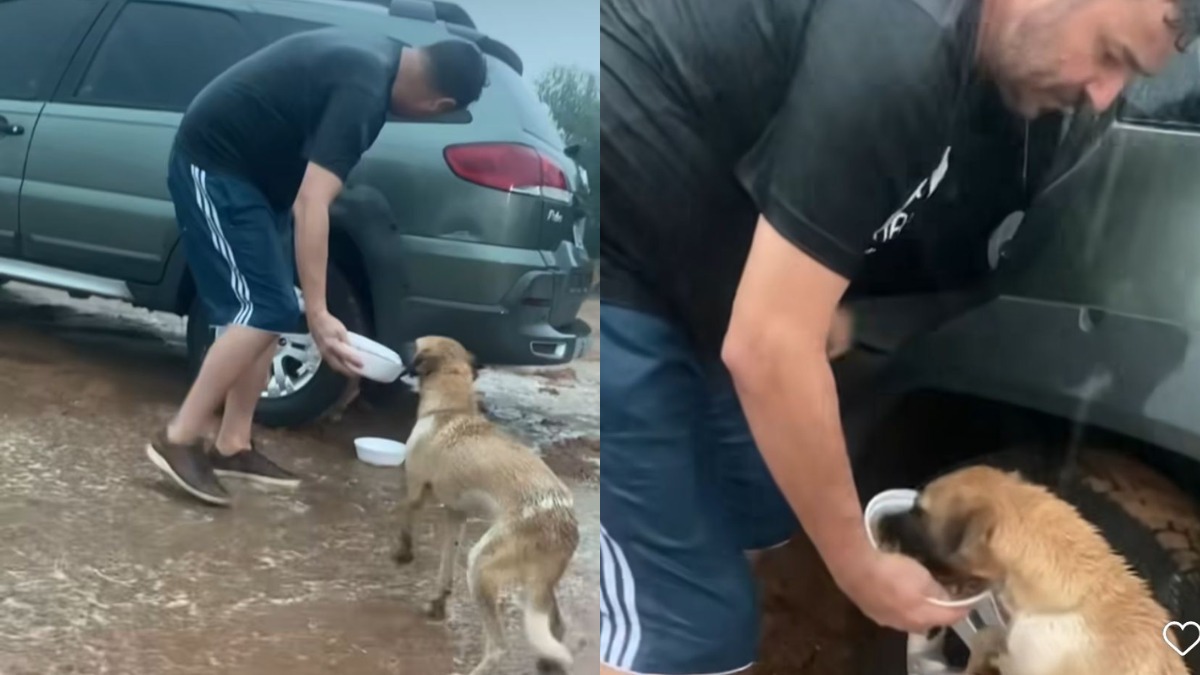 “Es un ángel”: Hombre rescata a perritos y ‘michis’ afectados por las inundaciones
