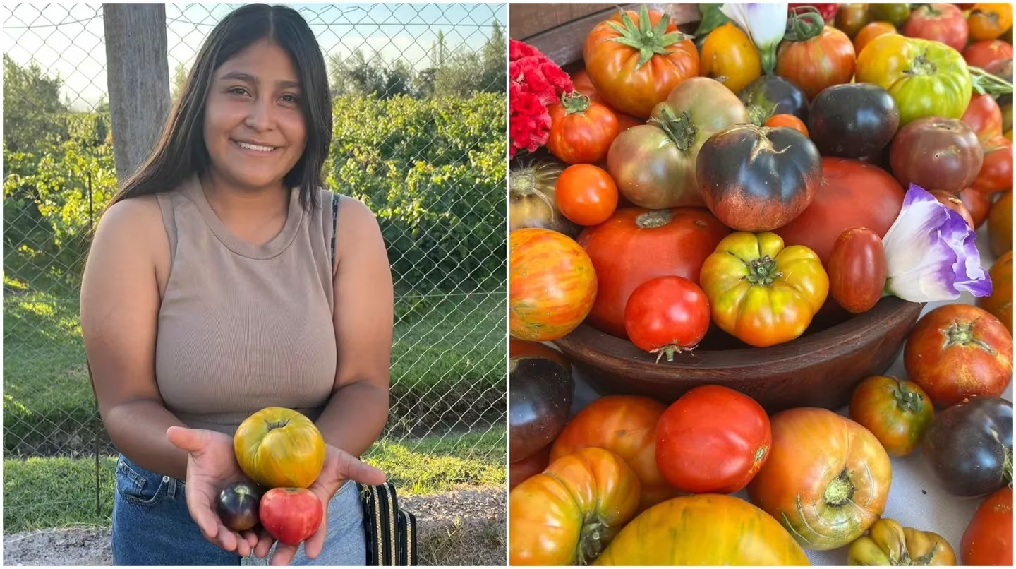 Ejemplo de superación: familia plantó tomates porque “no tenían para comer” y ahora los venden a los mejores restaurantes
