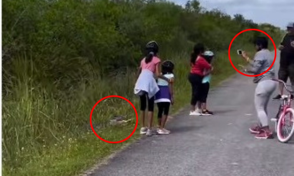 ¡Qué padres tan irresponsables! En plena vía menores posan con un cocodrilo para una foto