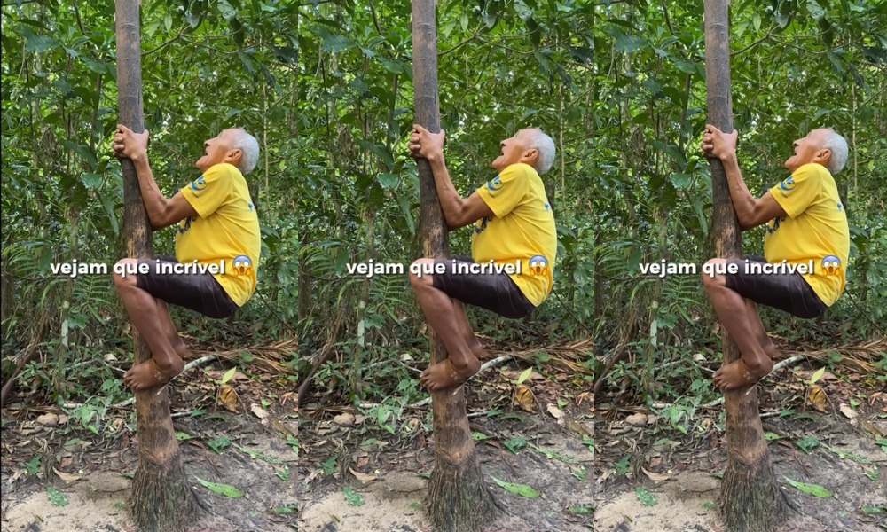 “¡Una habilidad increíble!”: abuelito de 81 años dejó a todos boquiabiertos por su facilidad para subir a una palmera