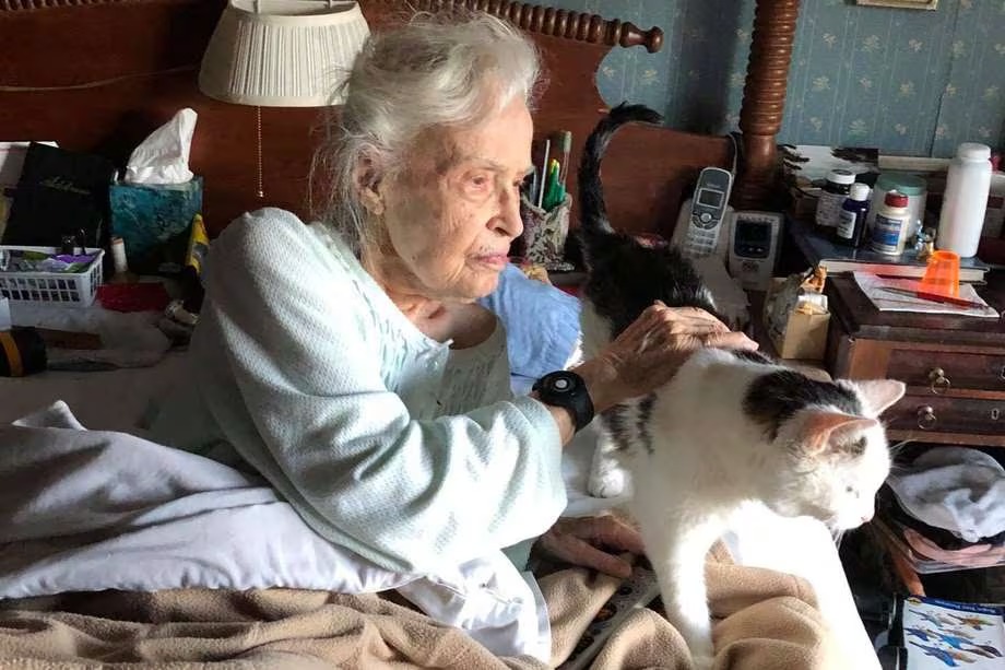 ¡Qué ternura! Abuelita de 101 años adoptó a un gatito anciano; dijo que era para acompañarse en su vejez