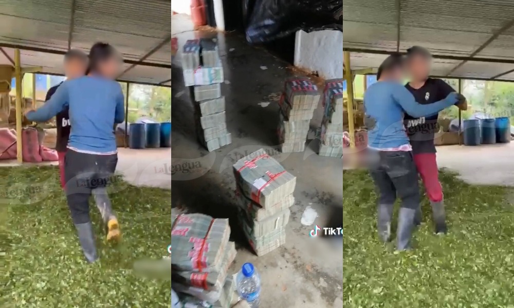 “Tienen al gobierno de parche”: Disidentes de las Farc presumen fajos de billetes y comparten videos bailando sobre coca