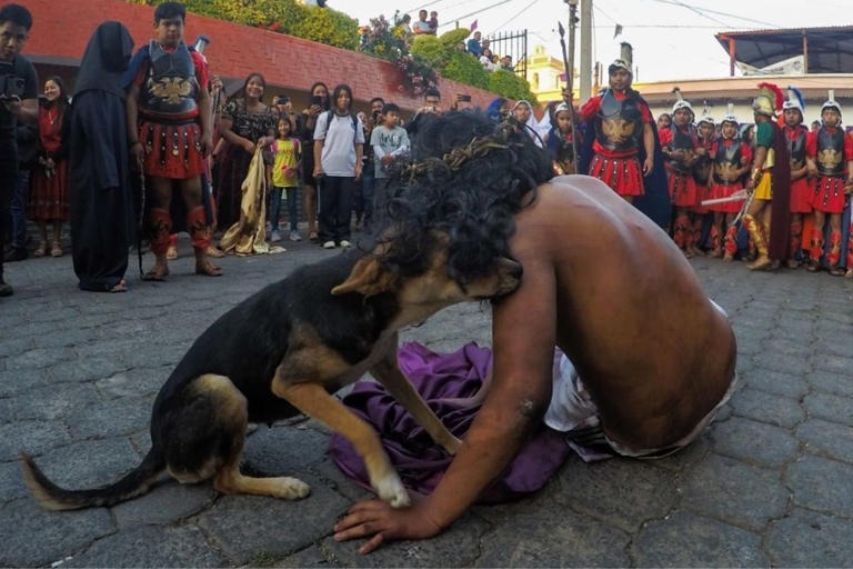«Lo más hermoso»: perrito callejero consoló a un actor que interpretó La Pasión de Cristo, pensó que estaba herido