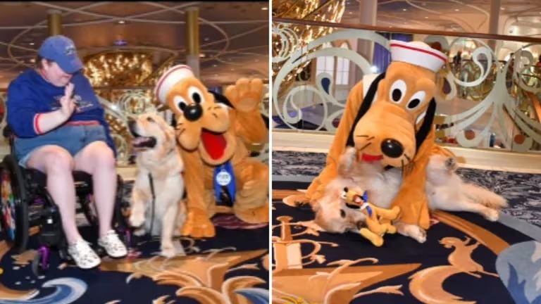 Qué ternura: un perrito de servicio cumplió su sueño y conoció a Pluto, su ídolo