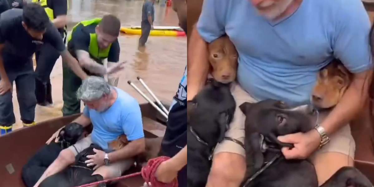 Hombre arriesgó su vida por salvar a sus cuatro perritos de las inundaciones ¿Usted lo haría?