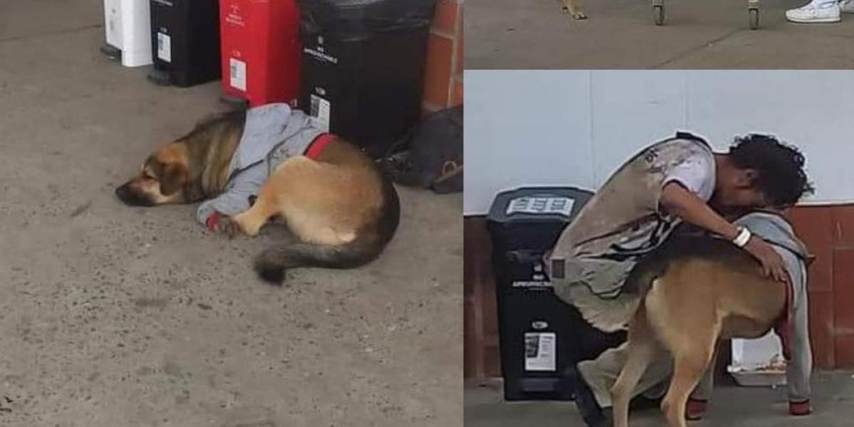Amigo fiel: perrito esperó horas a su dueño afuera de un hospital mientras se recuperaba