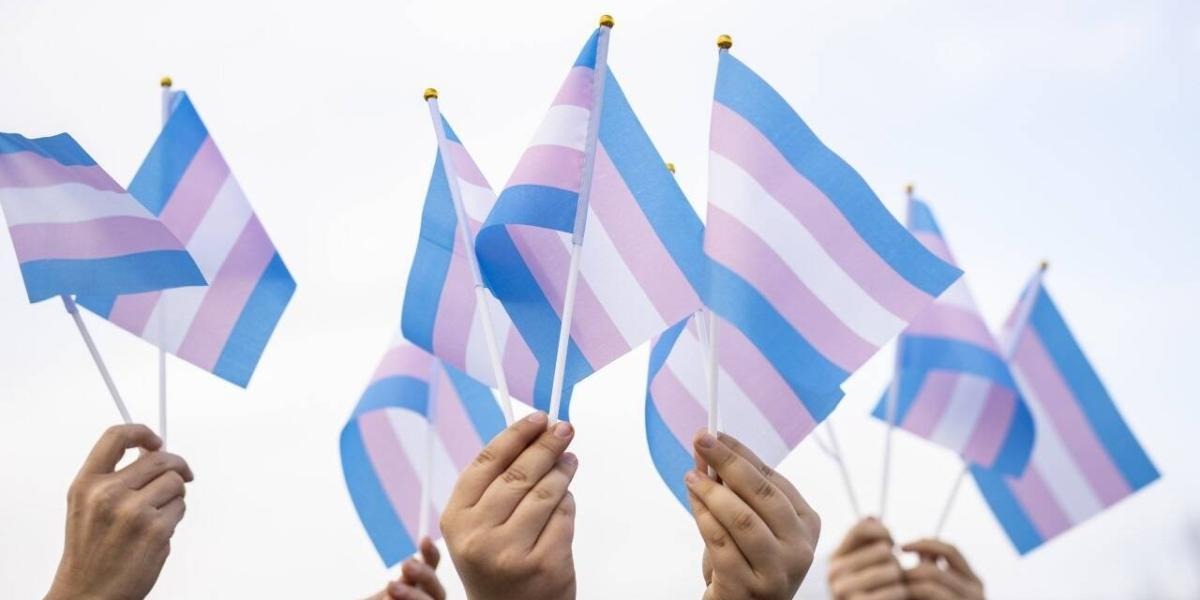 Triste panorama: 8 mujeres trans fueron asesin4das en Colombia entre febrero y abril de 2024