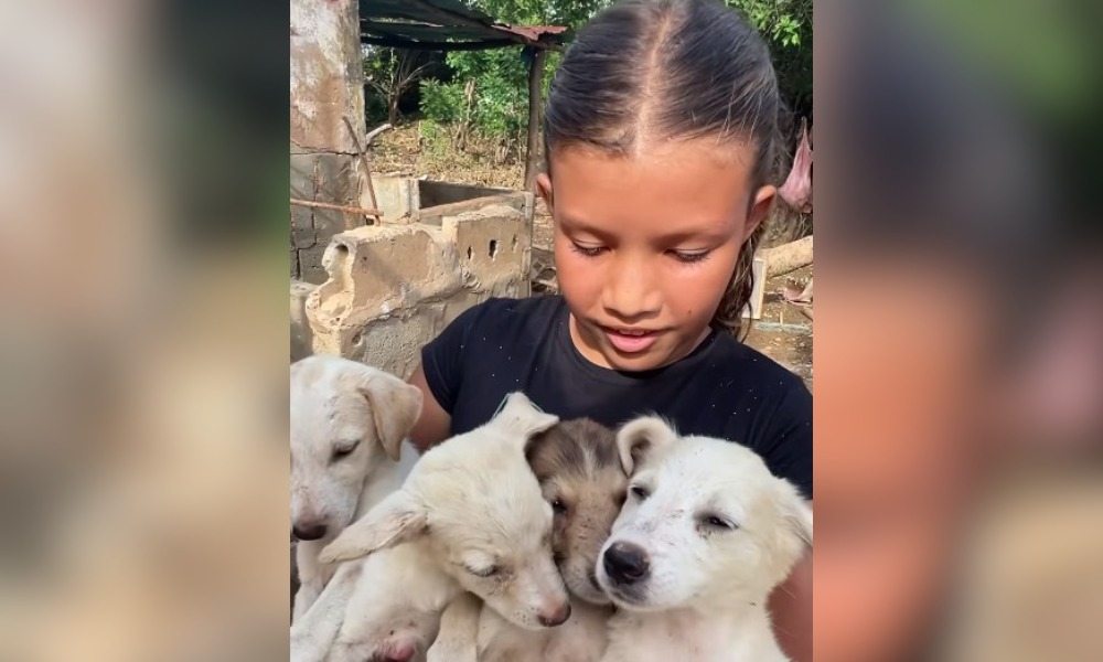 «Que pequeño gran corazón»: Niña salva a sus perritos de una inundación y es toda heroína en las redes