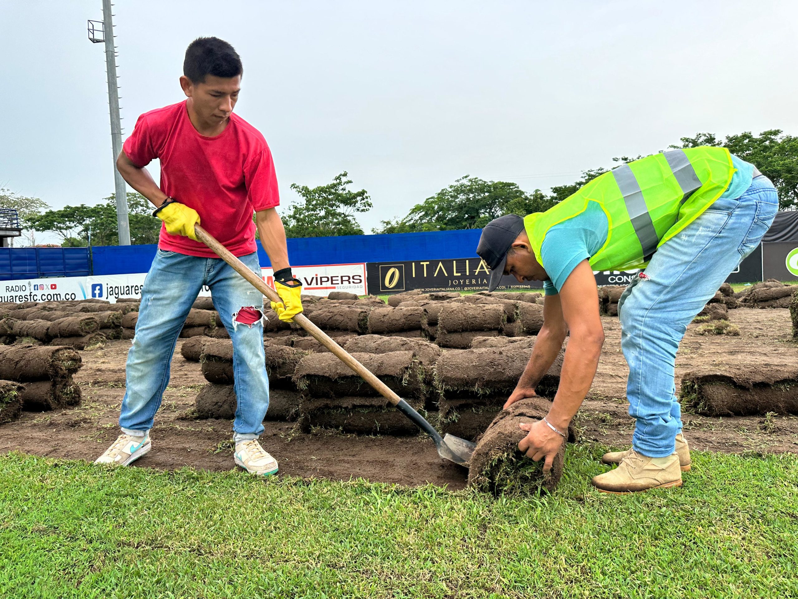 ¡Con toda! Empezaron los trabajos de renovación del gramado del estadio Jaraguay