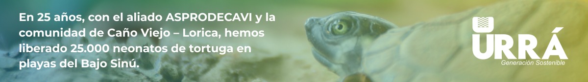 Banner publicitario